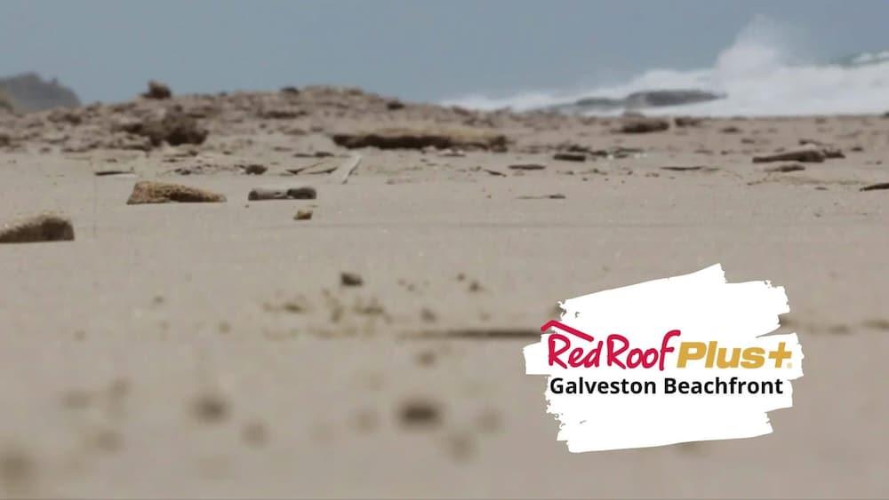 Red Roof Inn Plus + Galveston - Beachfront Dış mekan fotoğraf