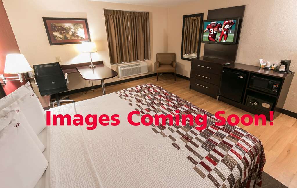 Red Roof Inn Plus + Galveston - Beachfront Konforlar fotoğraf
